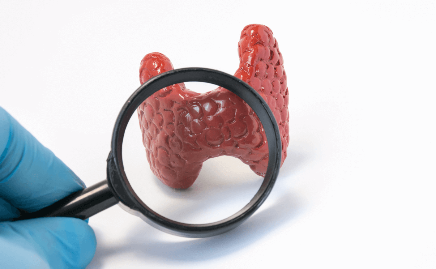 affiche de la conférence